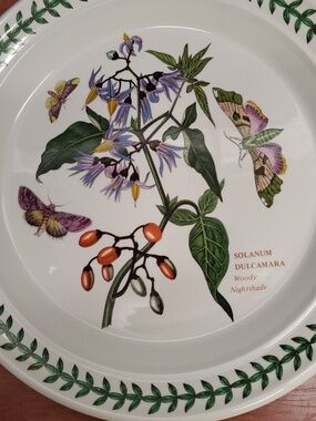 Vintage The Botanic Garden Woody Nightshade 1972 Salad Plate